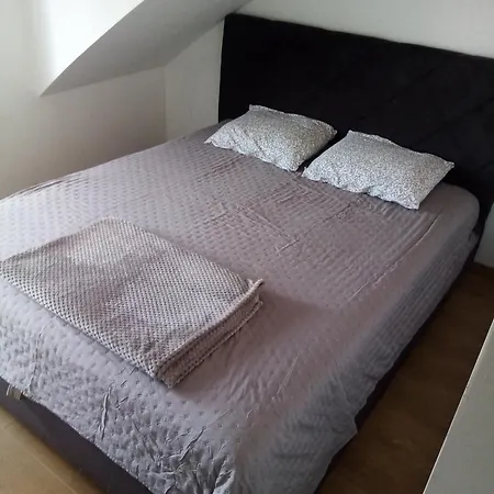 Petrovic Apartment *